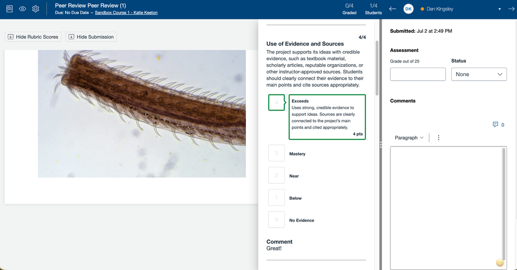 SpeedGrader view of a peer review showing student work on the left, the peer review rubric filled out in a center panel, and the instructor feedback and grade panel on the right.