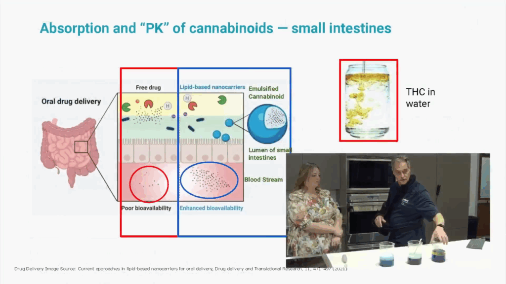 Slide titled "Absorption and "PK" of cannabinoids - small intestines" showing a diagram of oral drug delivery with Professor Donnelly and a guest lecturer engaging in a live demonstration in the corner.