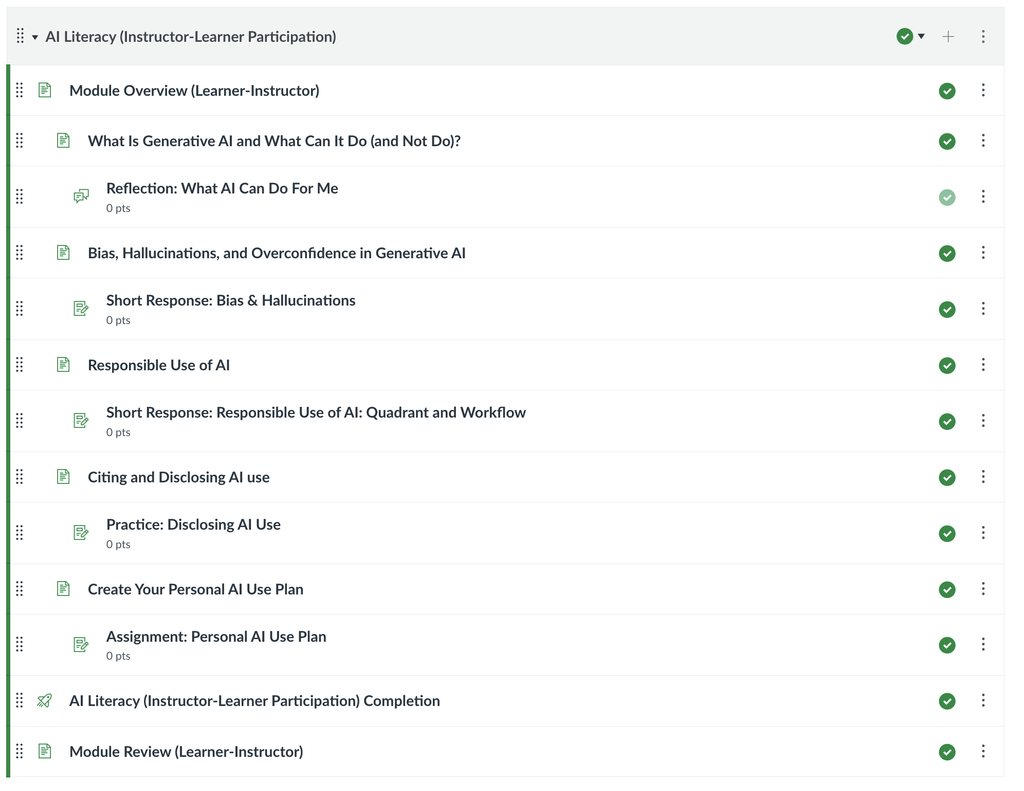 Instructor-Student Participation Module including pages, assignments, and discussions for the students to complete.