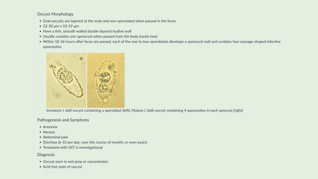 The summary page for Oocyst Morphology, it's pathogenesis and symptoms, and diagnosis.
