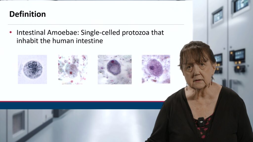 The instructor standing in front of a lecture slide in a screenshot from a lecture video.