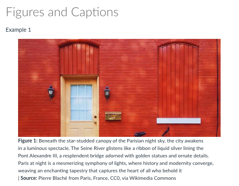 Example of an image with a caption underneath on a Canvas page.